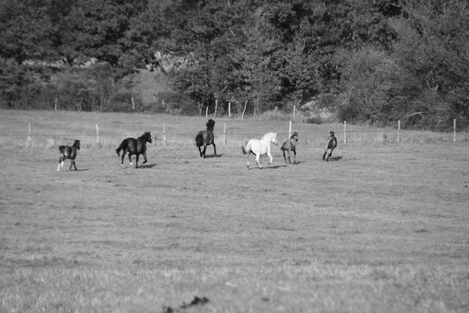 Petit Gite A La Ferme Villa Rosnay  Bagian luar foto
