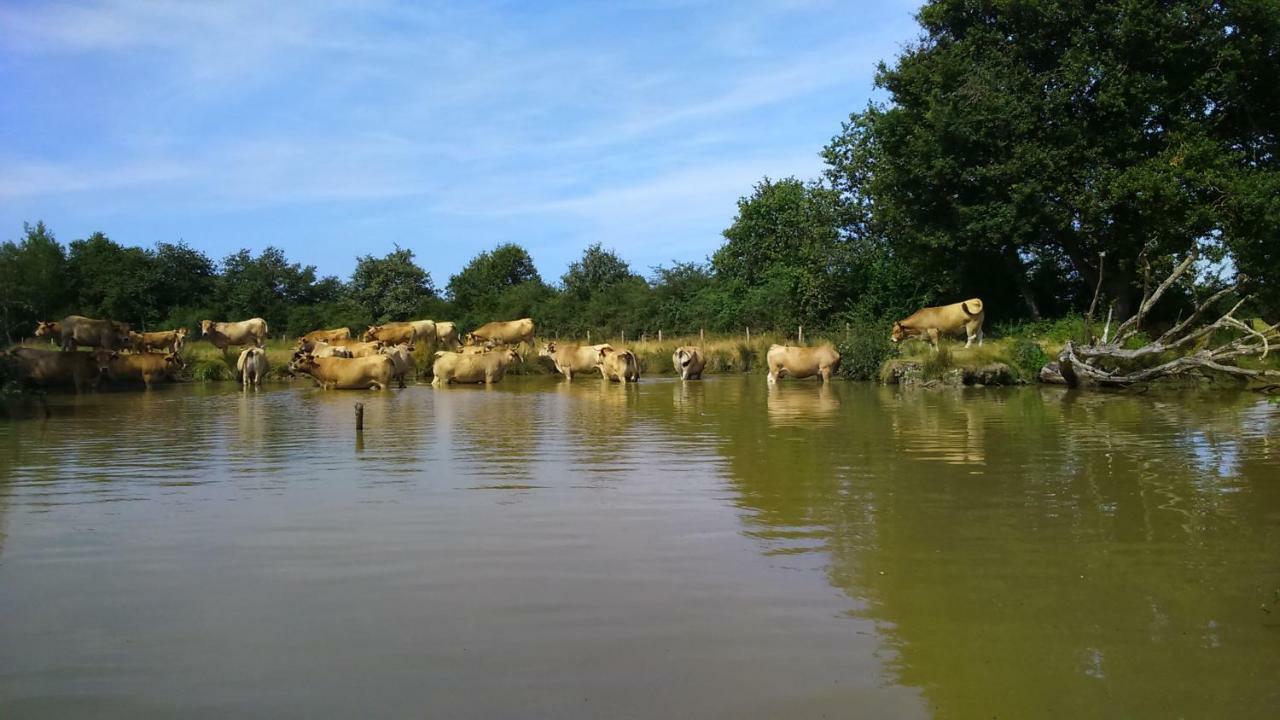 Petit Gite A La Ferme Villa Rosnay  Bagian luar foto