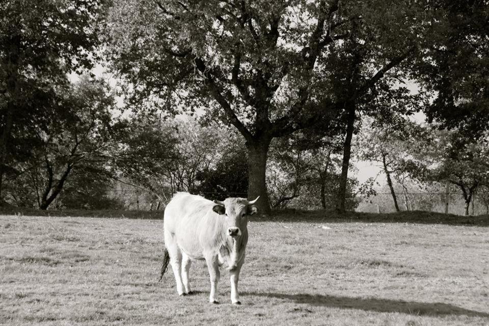 Petit Gite A La Ferme Villa Rosnay  Bagian luar foto