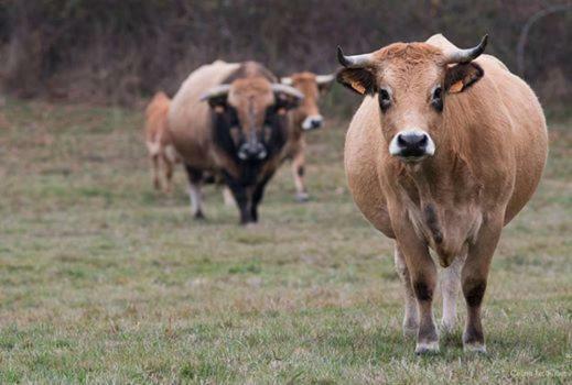 Petit Gite A La Ferme Villa Rosnay  Bagian luar foto